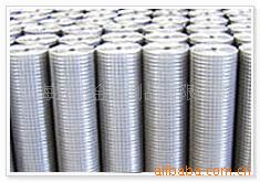 供应不锈钢电焊网.镀锌电焊网.网片