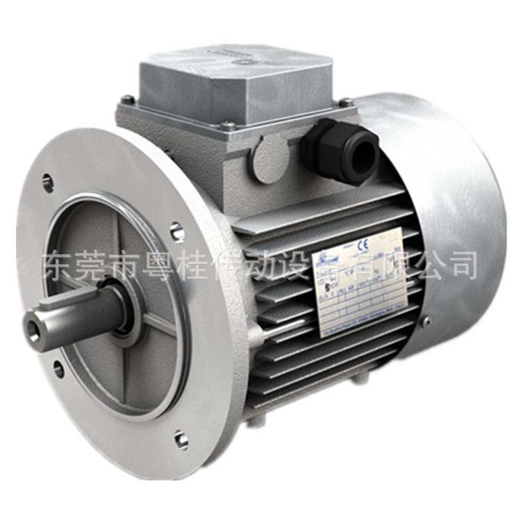 意大利MOTOVARIO摩多利，80B4-铝合金耐三相异步电机