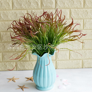 ���ɫ�Gɫֲ�� ���� ���滨 ��ˮ�� ֲ� �͏d�b� �҃�ܛ�b