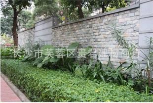 �Ļ�ʯ��ˮ�� �Ž��B�u��͸ˮ�uֲ�ݴu���^ʯ�껨ʯ�Z��ʯ ��ʯ��