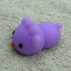 No. 29 (Purple Four Claw Birds)