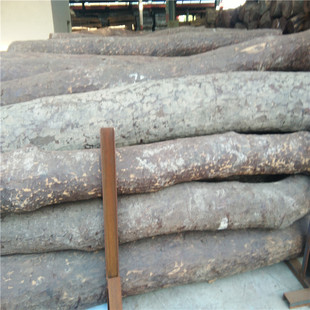 ���Ҹ�ԭľٝ�ȁ���̴ӡ���S����ӡ���S̴�tľ�r�񃞻�