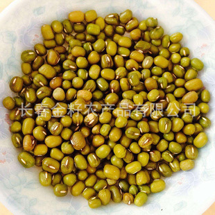 �G��   ѿ��  ��ѿ�� �������l