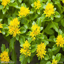 ������ �t���� �ˌ�����ɽ�|���ݴ������l�����޸���������r��