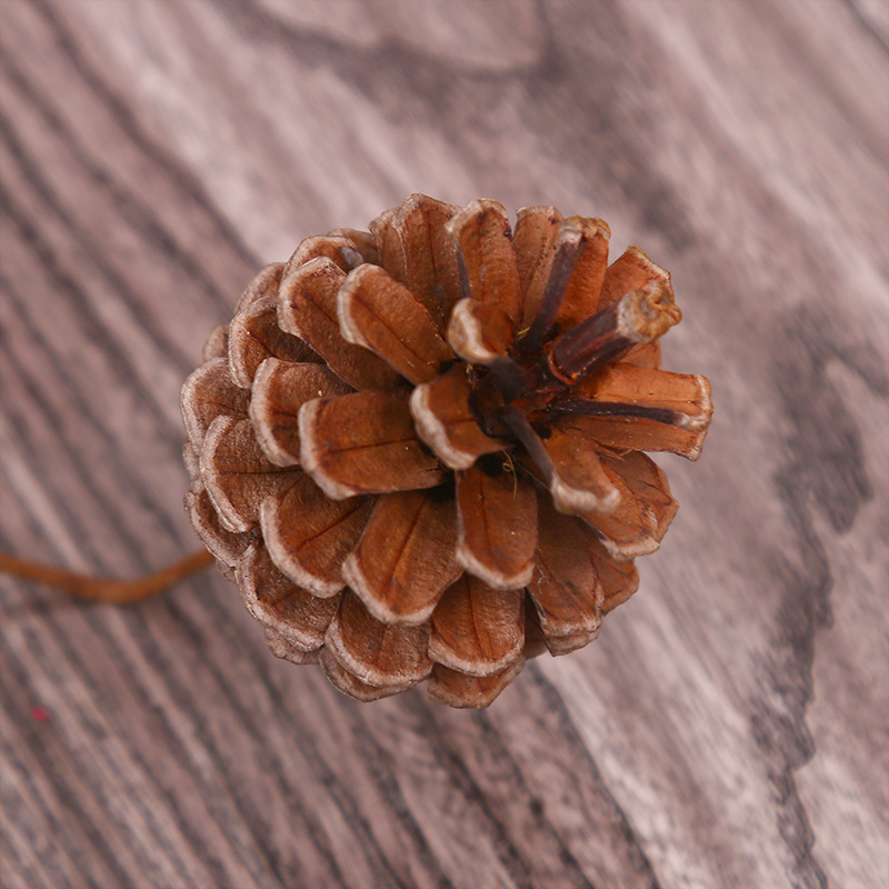Ramo de pino seco cono decoración DIY flor seca natural flor eterna decoración casera hecha a mano salón arreglo floral con varilla cono de pino