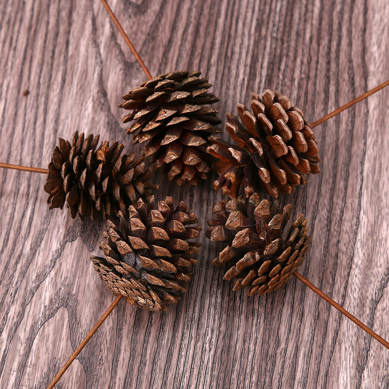Ramo de pino seco cono decoración DIY flor seca natural flor eterna decoración casera hecha a mano salón arreglo floral con varilla cono de pino