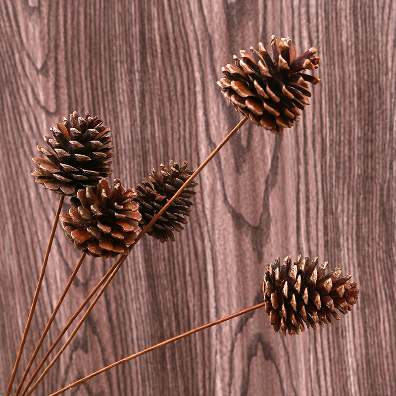 Ramo de pino seco cono decoración DIY flor seca natural flor eterna decoración casera hecha a mano salón arreglo floral con varilla cono de pino