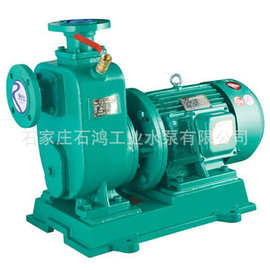 高效率好品质的好自吸泵 自吸抽油泵 300CYZ-32 石鸿生产