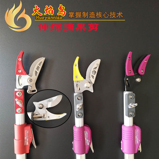 �����B ��sժ������֦ ������֦��֦���߿���֦���ɹ���@�ֹ���