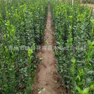 �������S����lì����  ���G���G��ľ���~�S��