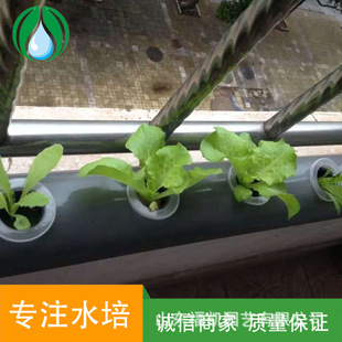 �̨�@ˇˮ������Nֲ�@�羳�o�������O���ͥˮ���߲˻@��ͥE18