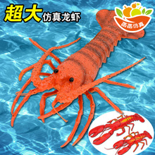 ����ʳ�����r�зģ����ߺ��r��[���r�Ҙ���������С���r�b�Ʒ