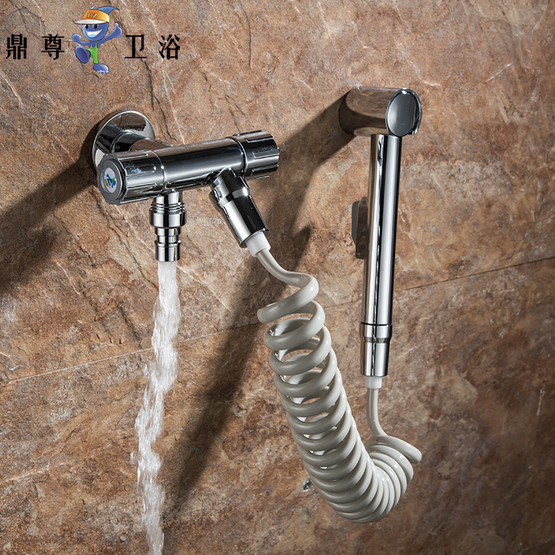 Dingzun multi-function Angle valve closestool Spray gun suit Bidet Ass Cleanse Irrigator brand Merchants