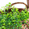 Home furnishings Golden Bell willow wall hanging simulation plant wall decoration hanging basket orchid vine strip plastic fake green grass