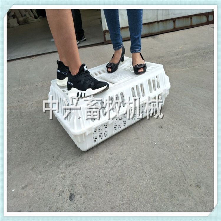 毛鸡笼子 屠宰场用塑料鸡笼 塑料鸡筐