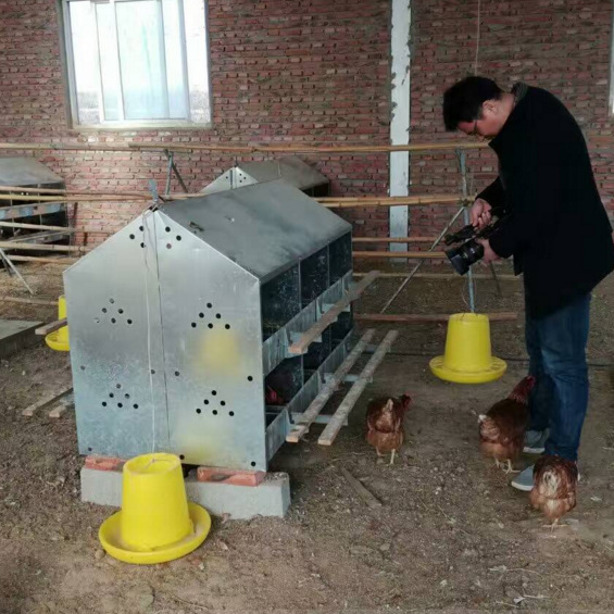 厂家供应鸡用产蛋箱24窝产蛋箱热镀锌产蛋箱