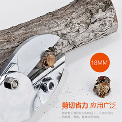 廠商直供魚頭剪果枝剪  魚頭造型 園藝修枝 剪枝剪園藝修剪