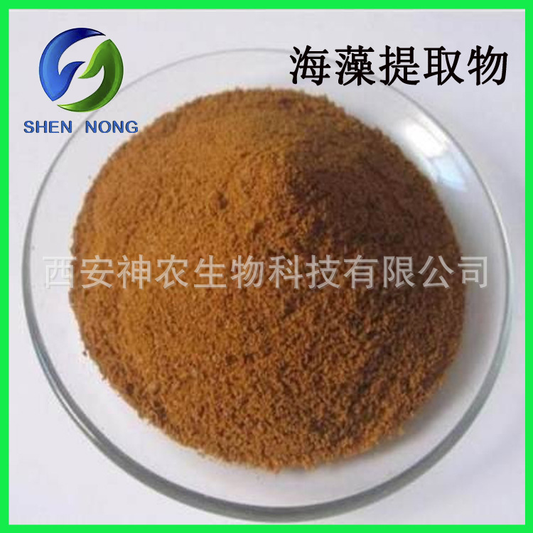 海藻提取物10:1  海藻多糖 多规格 1kg起订 现货包邮