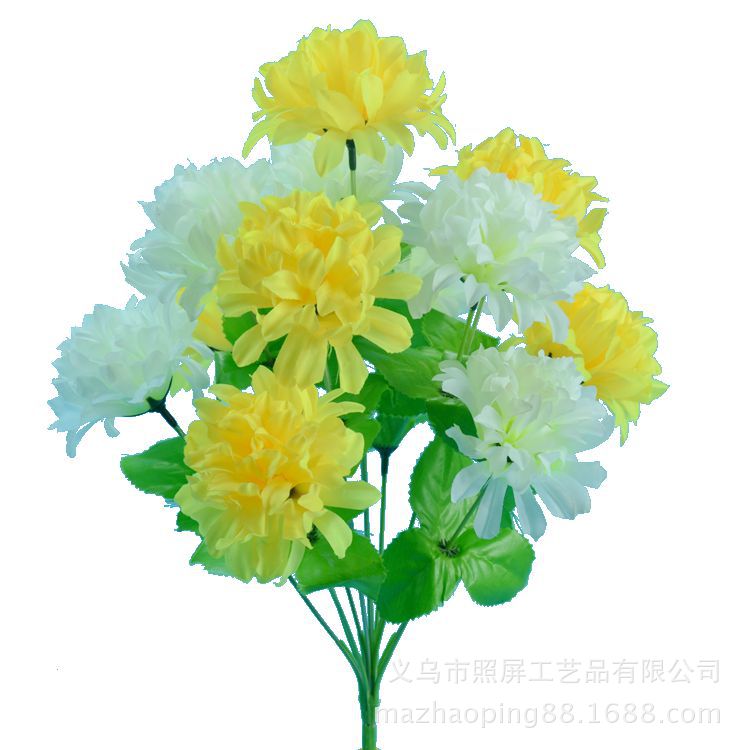 White, yellow