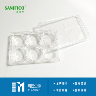 SANIFICO�}�ƿ�6��ƽ�ױ���δ̎���������b����������B��o��