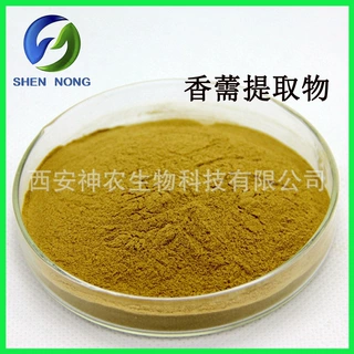 香薷提取物10:1 香薷粉 牛至提取物 比例提取粉 厂家现货包邮