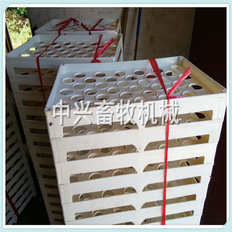 蛋托批发 塑料鸡蛋托 鸭蛋托价格