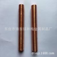 ����T2���~�z��M16*60һ1000���~�������p�^��ĸ�|ƬU�Ϳ��ǘ˼�