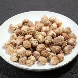 现货供应白蔻仁辛香味浓白豆蔻仁餐饮商用卤料卤肉火锅底料白蔻