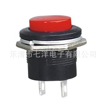《厂家直销》各种汽车喇叭按钮开关 按键开关