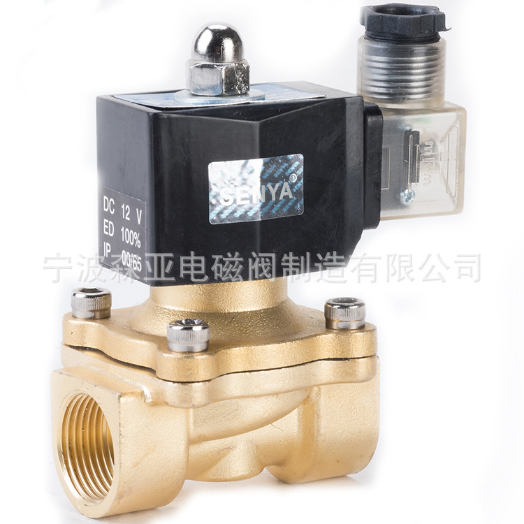 2W-200-20D 厂家批发2W常闭系列电磁阀 铜体常闭系列电磁阀