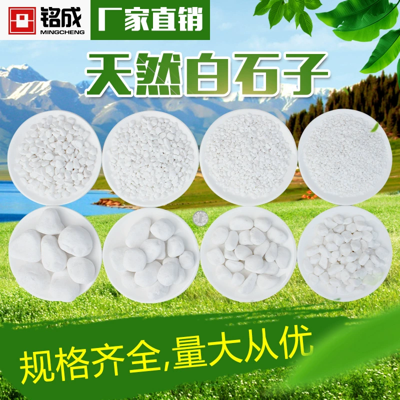 natural white stone pebbles Han Baiyu color stone garden art potted stone succulent shop surface garden landscaping