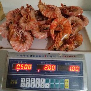 ���r�� �����r�ɴ����r�� �O����؛���r��؛250�˃��|Ұ��