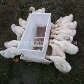 鸡鸭鹅喂料箱全新料抗老化鸭食槽 鸭料箱鹅料箱图片