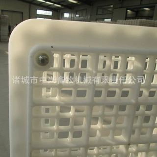 活鸡运输笼塑料鸡笼青年鸡筐成鸡周转筐