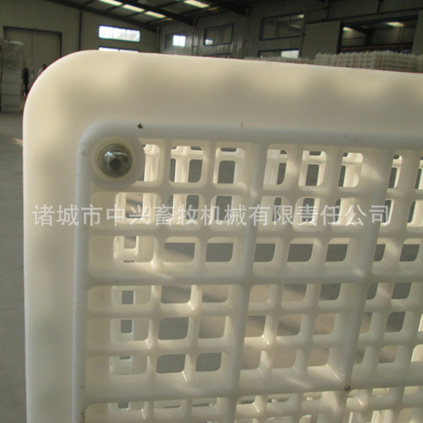 活鸡运输笼塑料鸡笼青年鸡筐成鸡周转筐
