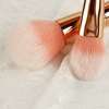 Golden brush contains rose, new collection, 6 pieces
