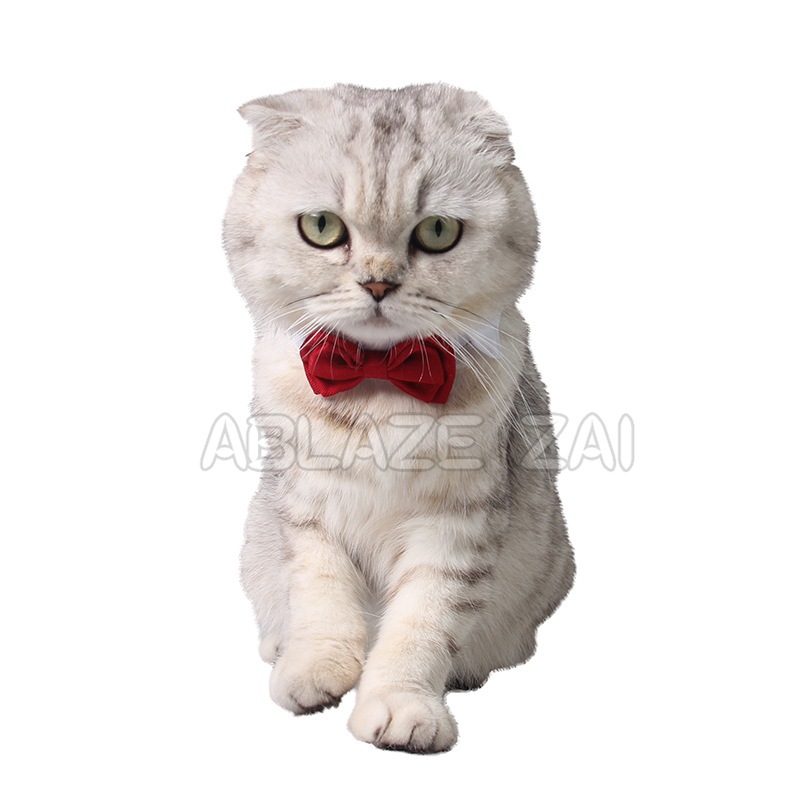 Bow tie