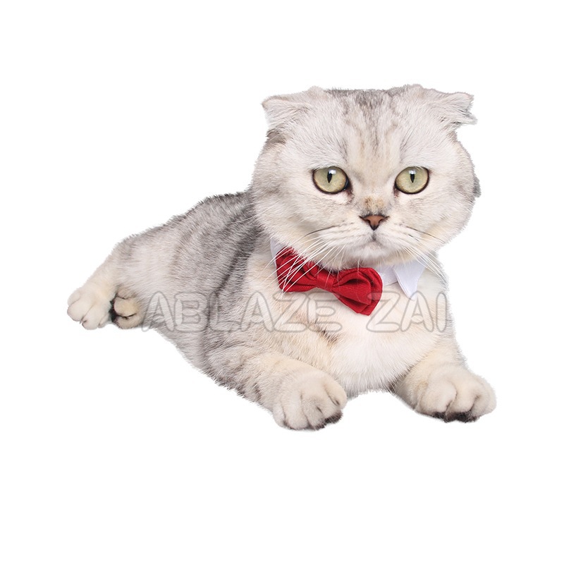 Bow tie