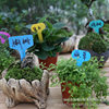 Printing and gardening label plastic plastic plant label/stereo label/flower label plate/T type