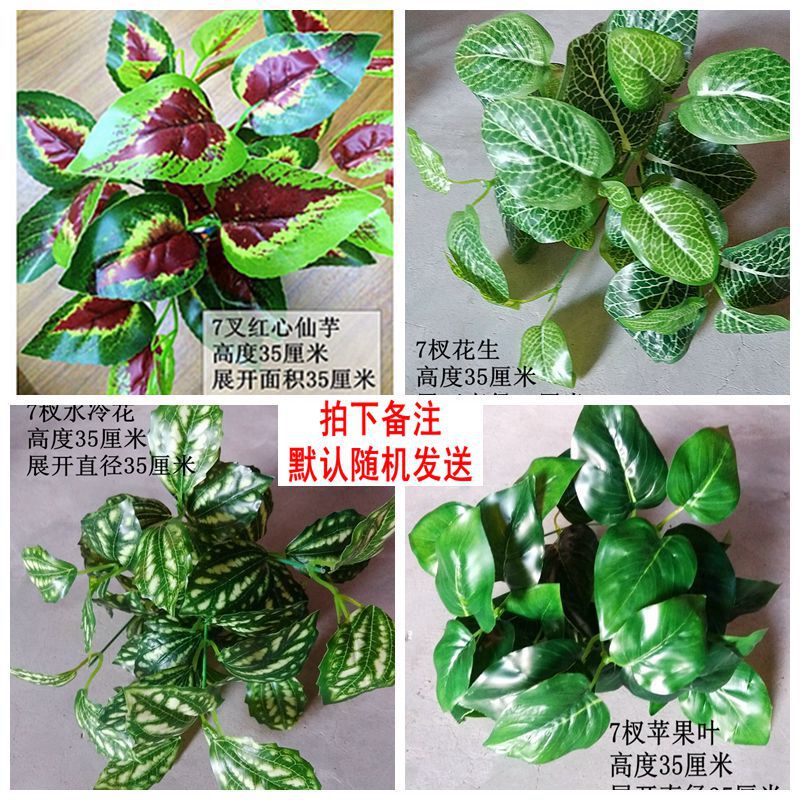 Planta artificial pared plástico falso césped planta verde decoración de la pared cifrado Milan sala de estar al aire libre paisaje artificial verde