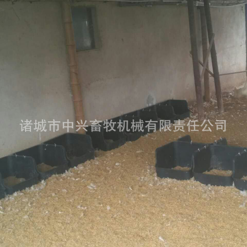 山东养殖蛋窝，塑料鸭蛋窝，鸭下蛋窝