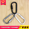 Quality aluminum alloy climbing D -shaped fast hanging buckle D -shaped mountaineering multi -function fast hanging 8cm