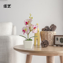 ����ֲ������m�������������b�r�� �b��辰�����ٻ�һ�����l