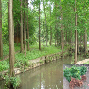 ˮɼ��ˮɼ�����ɼ��ɼС������ɼ��ɽɼ��ͥԺ�G�����^��ˮɼ��