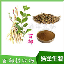百部提取物10:1 百条根 百部草提取物  百部碱