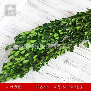 �����������l ����С�~�S�� �}�Q���b�Ʒ ���h ���r���ɻ�