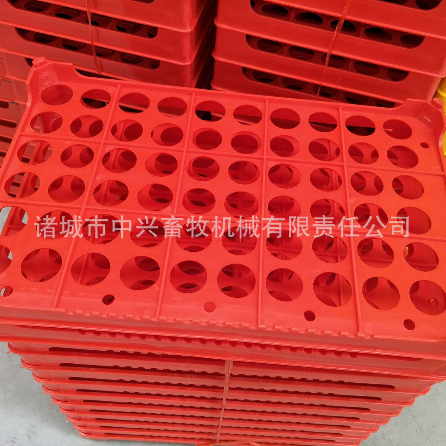 60枚塑料鸡蛋托 塑料蛋盘 防晒防摔加厚60枚鸡蛋托