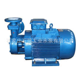 好的旋涡泵 旋涡泵生产厂家 40W-90 增压锅炉泵 石鸿生产质优价廉