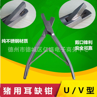 U��V�Ͳ��P��i�ö�ȱ�Q �i�����ӛ�Q��ȱ�Q��̖�Q�����Q�����Q