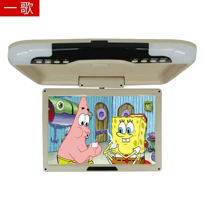 LCD TV, Car display